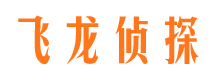 玄武侦探公司